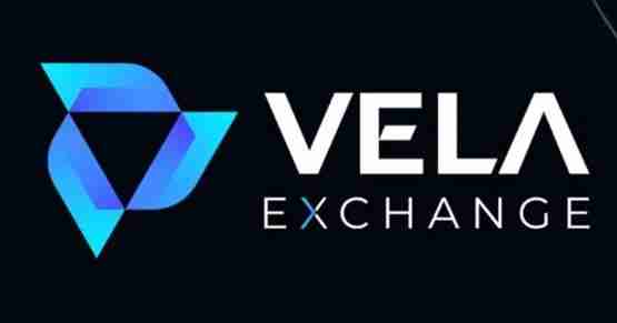 VELA币能涨起来吗？VELA币未来前景如何？